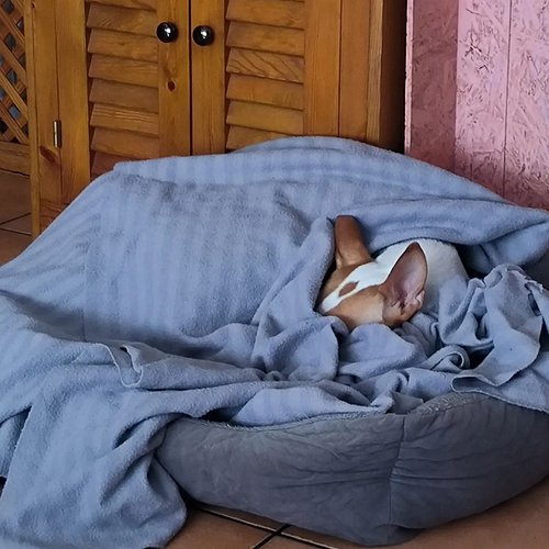 Hoy estamos domingo total. Peli y manta 😂😂😂