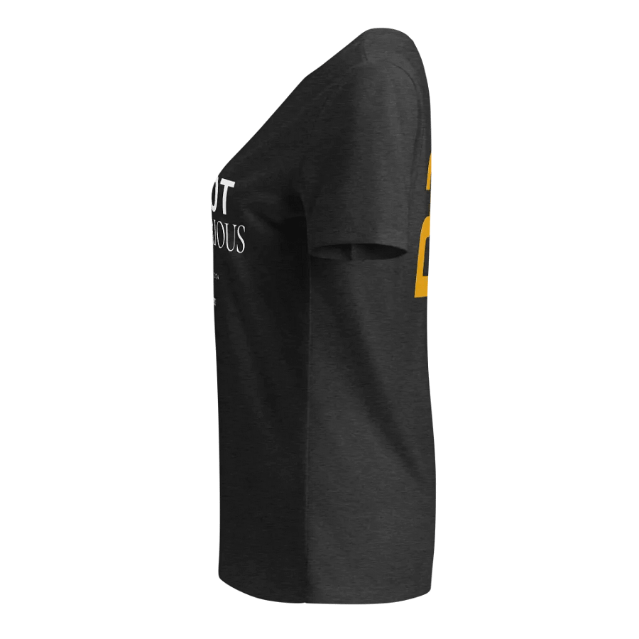 It's Not That Serious Women's V-Neck product image (23)
