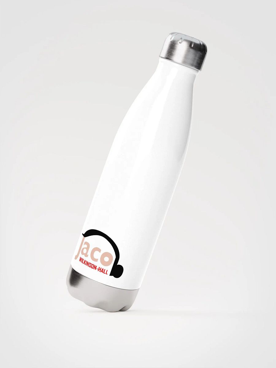 Stainless Steel Water Bottle product image (2)