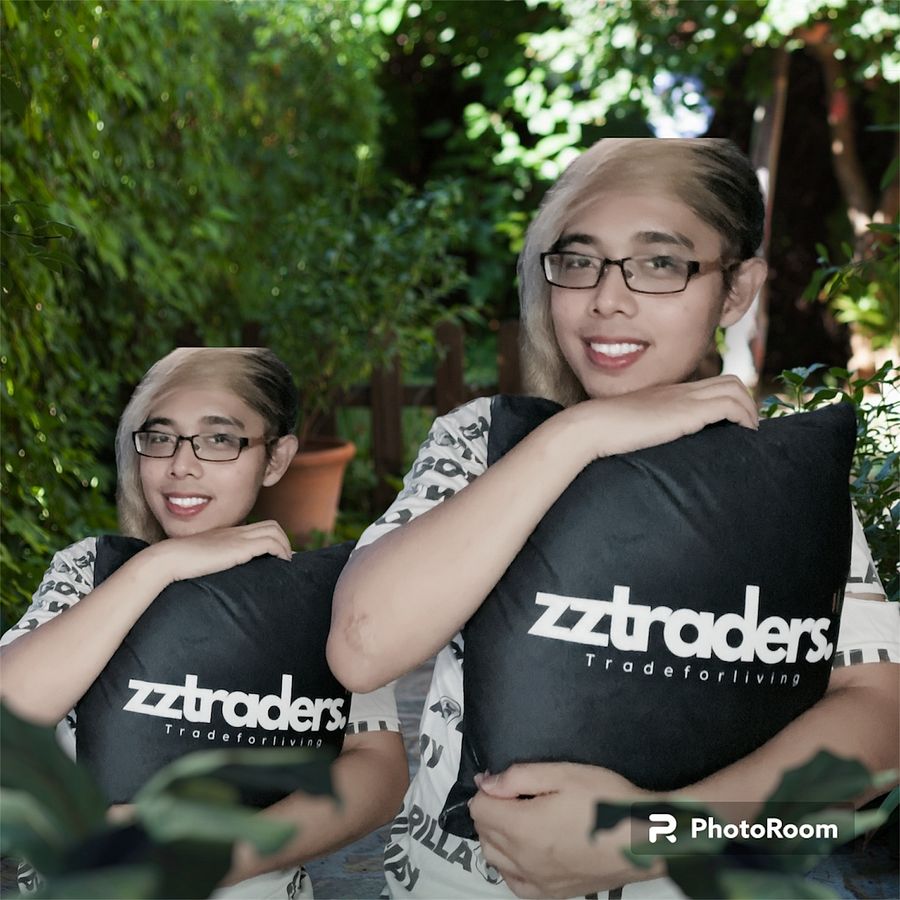 ZZTrader Pillow (First Edition) product image (1)