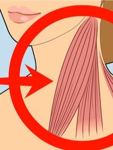 21 Massages for Ear Clogging and Sinus Stuffiness product image (2)