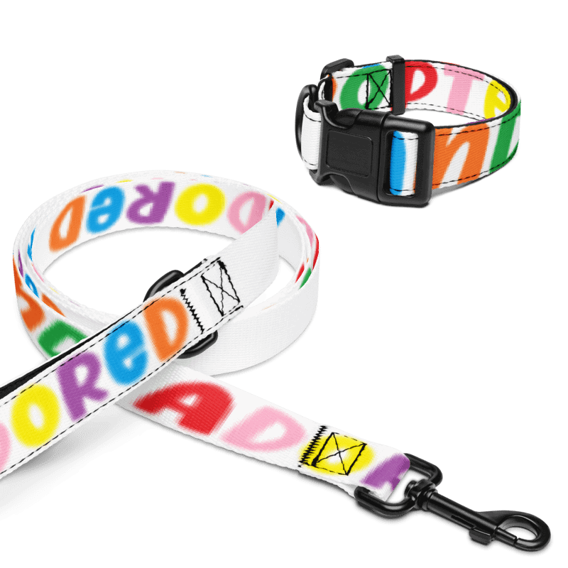 Adopted & Adored Pet Collar Set product image (9)