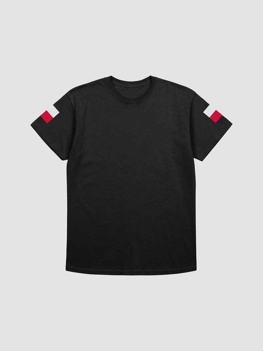 MR. POLAND - T-Shirt product image (1)