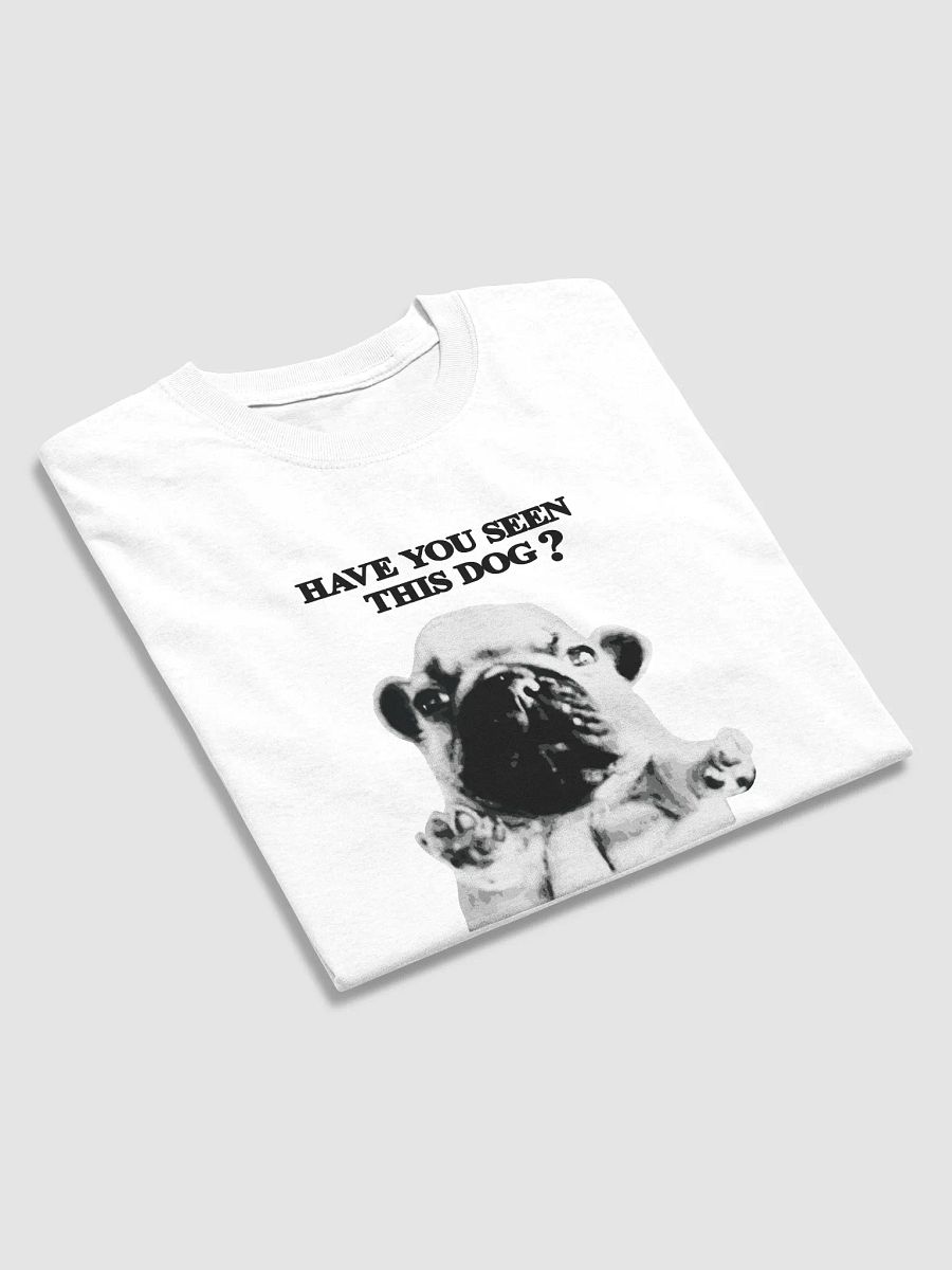 HAVE YOU SEEN PIBBLE? product image (3)