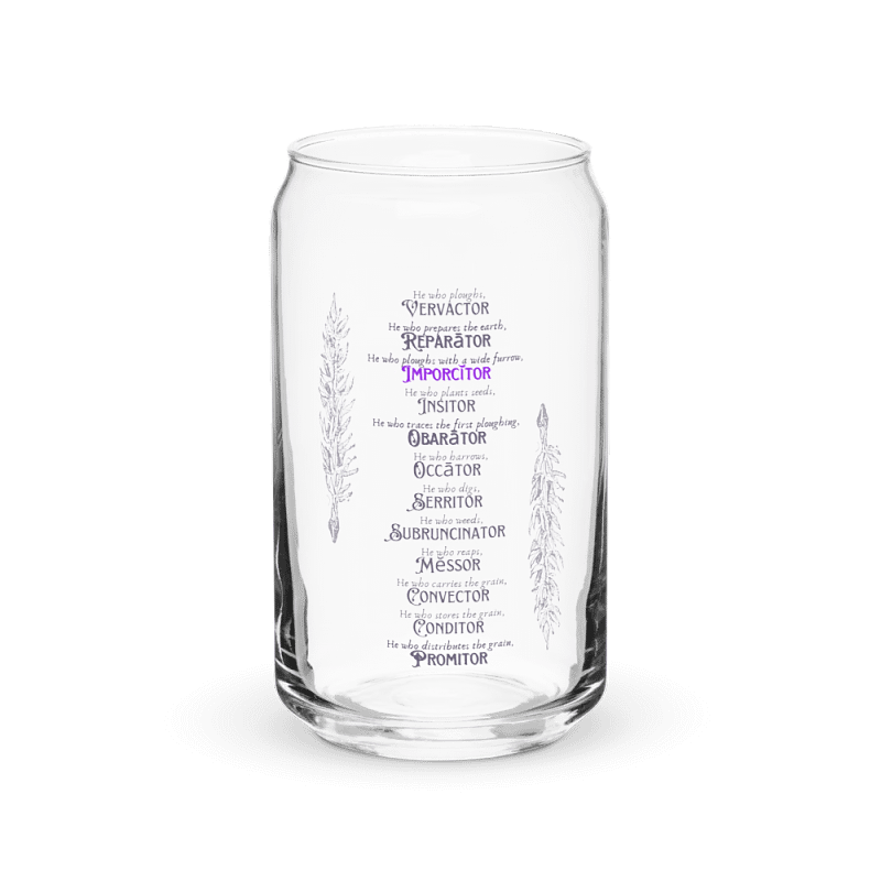 Glass Canopia: A Trendy Twist on Glassware
