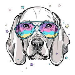 The Goofy Weim