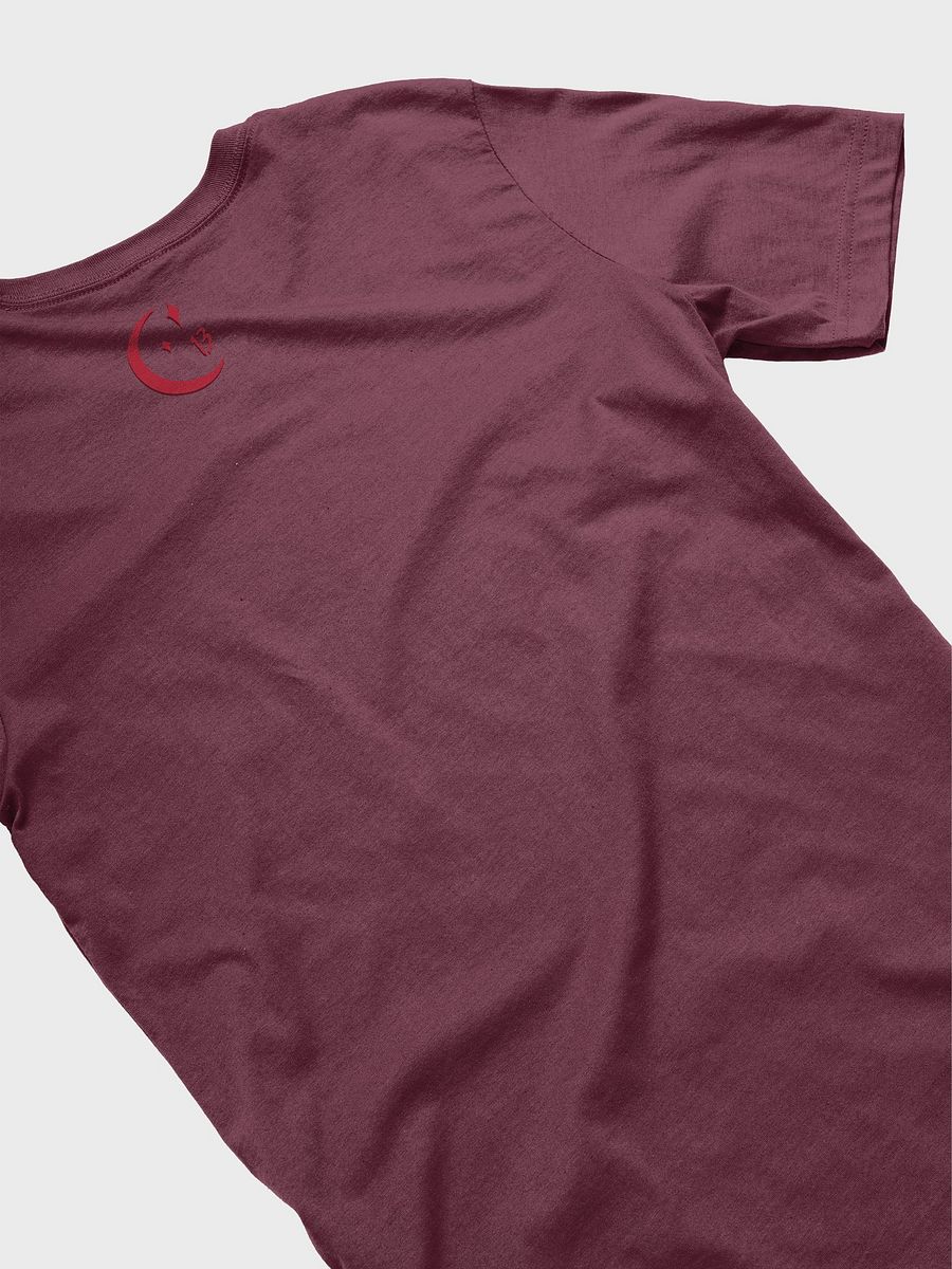 Pocket of Birdcage T-Shirt product image (14)