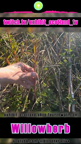 info...

Sign up to a membership subscription, get access to Exhibit Scotland products and merchandise https://exhibit-scotla...