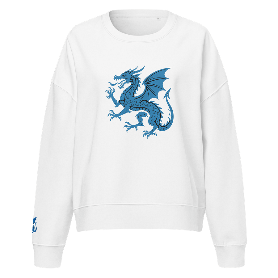 🔵 100% Organic Cotton - Blue Dragon – Voice of the Storm Sweater product image (21)