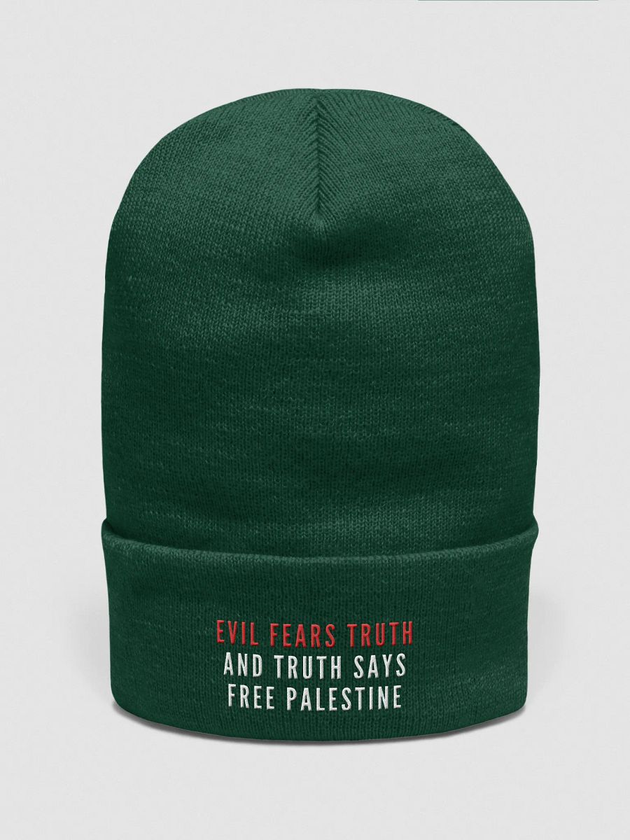 Truth Unveiled Beanie | Evil fears truth, and truth says: Free Palestine. product image (27)