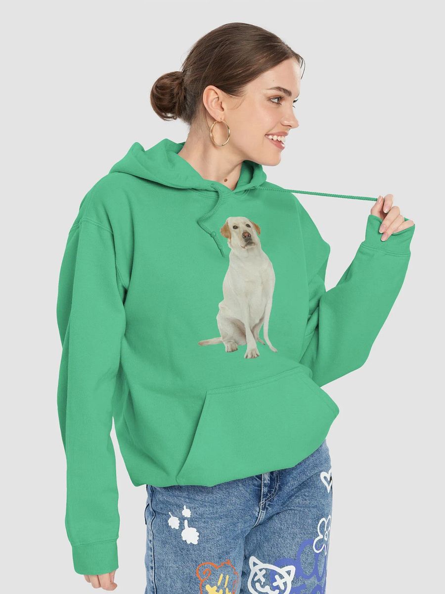 Unisex Labrador Retriever Hoodie – Ultimate Comfort with a Loyal Touch product image (43)