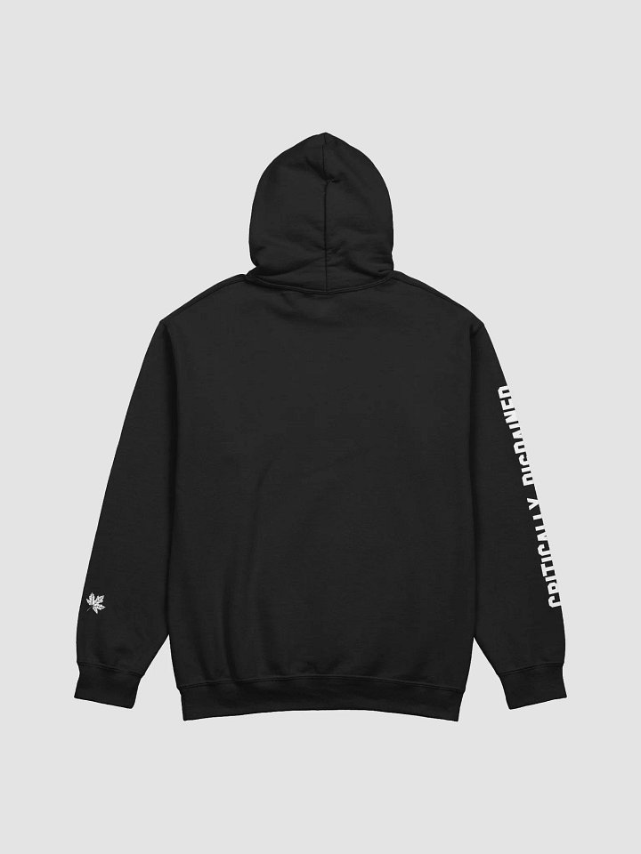 Critically Disdained Logo Hoodie product image (2)