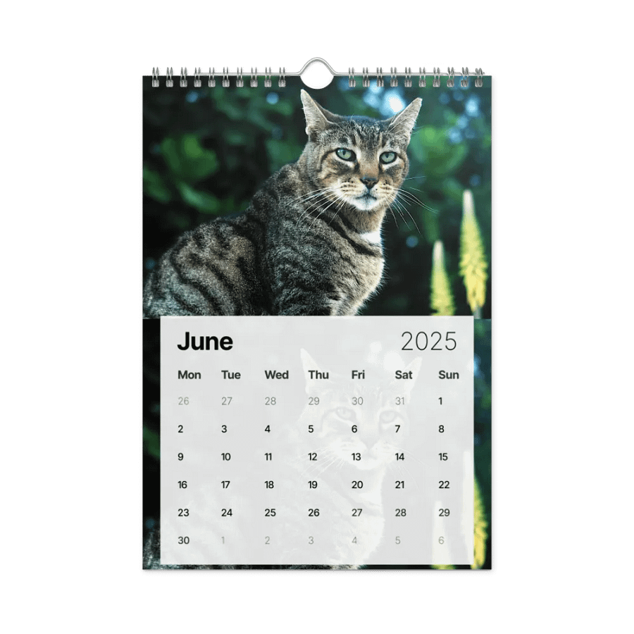 Calendar 2025 - Cats *meow* product image (7)
