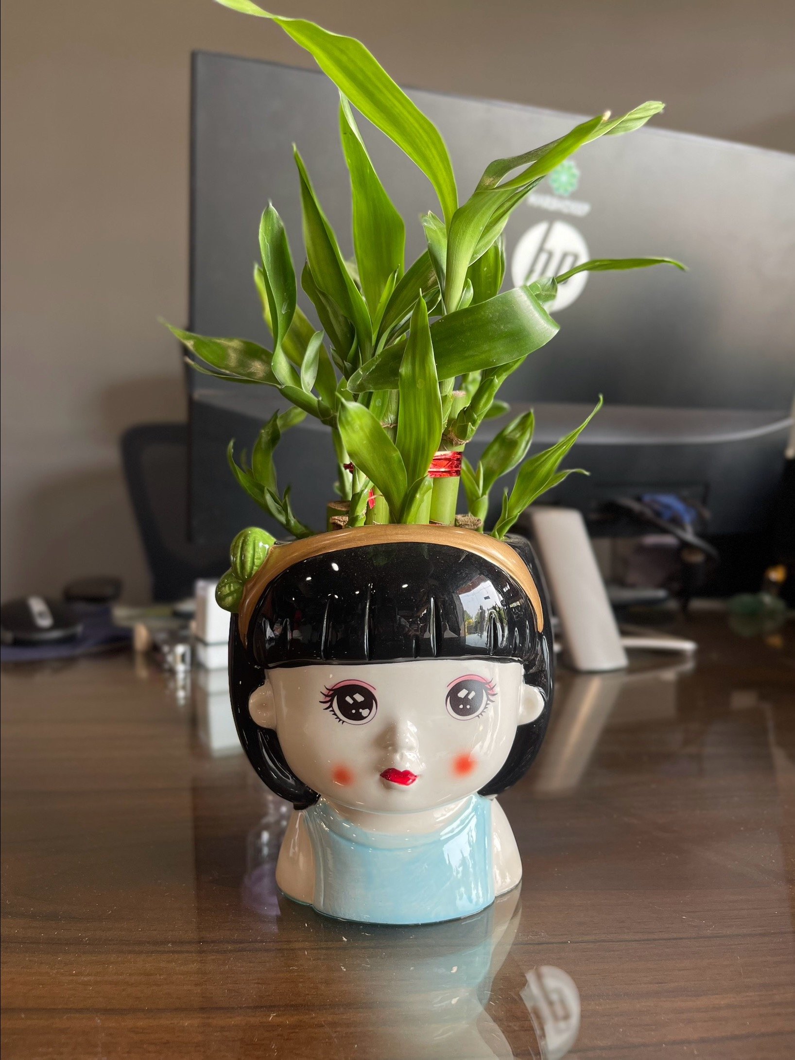 Ceramic face pot product image (1)