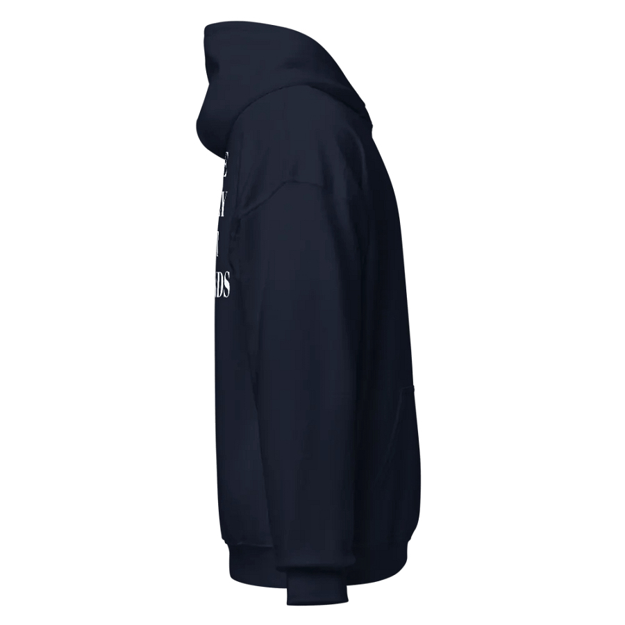 Make Money Not Friends Hoodie product image (4)