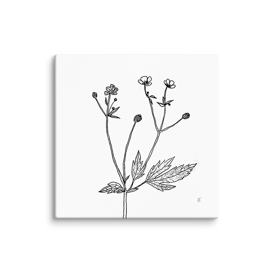 Botanical Bliss Canvas - Wild Flowers product image (1)