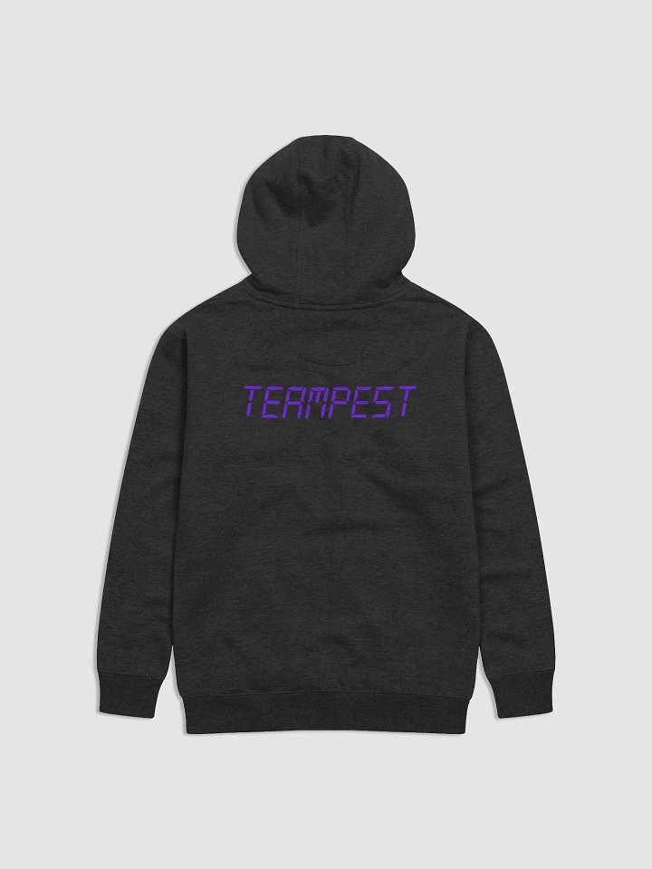 TeamPEST Pestilence 2020 Unisex Hoodie product image (2)