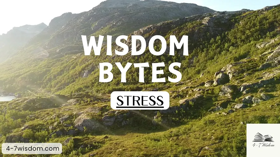 Wisdom Bytes: Stress product image (1)