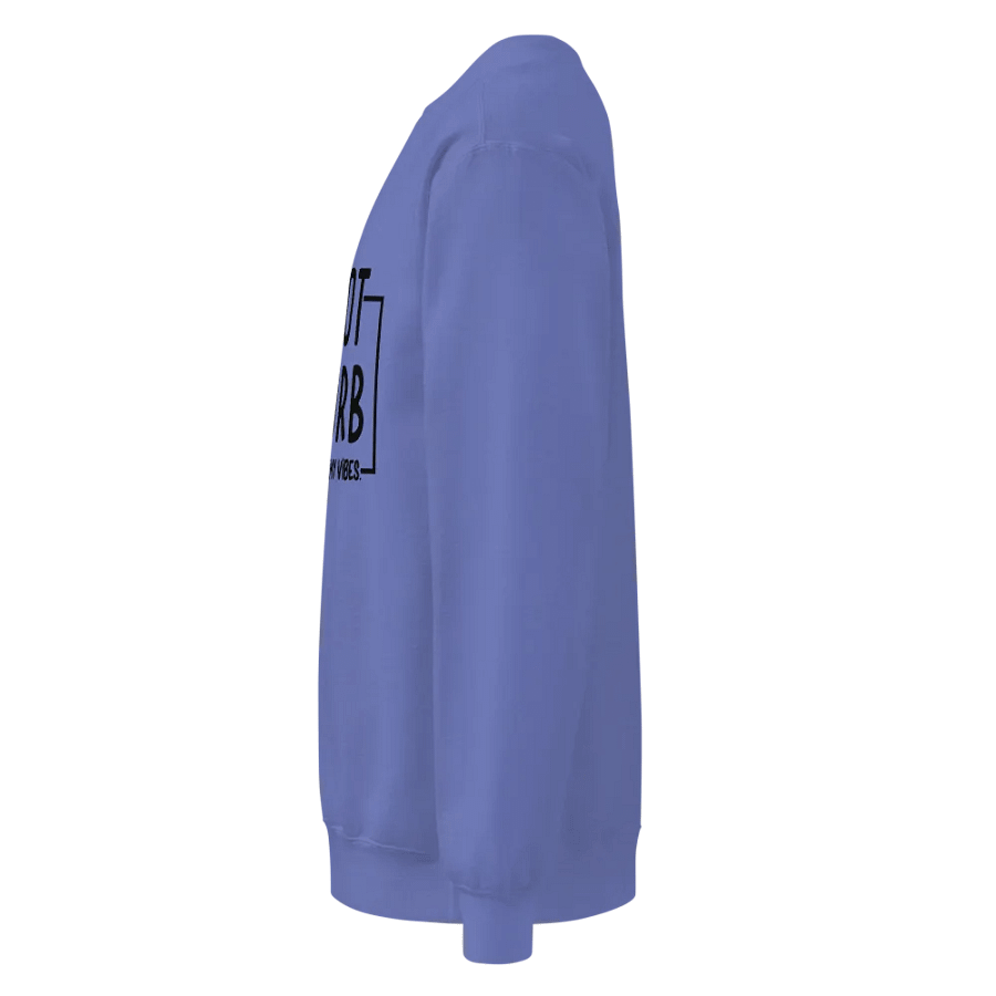 Do Not Disturb Sweatshirt product image (3)