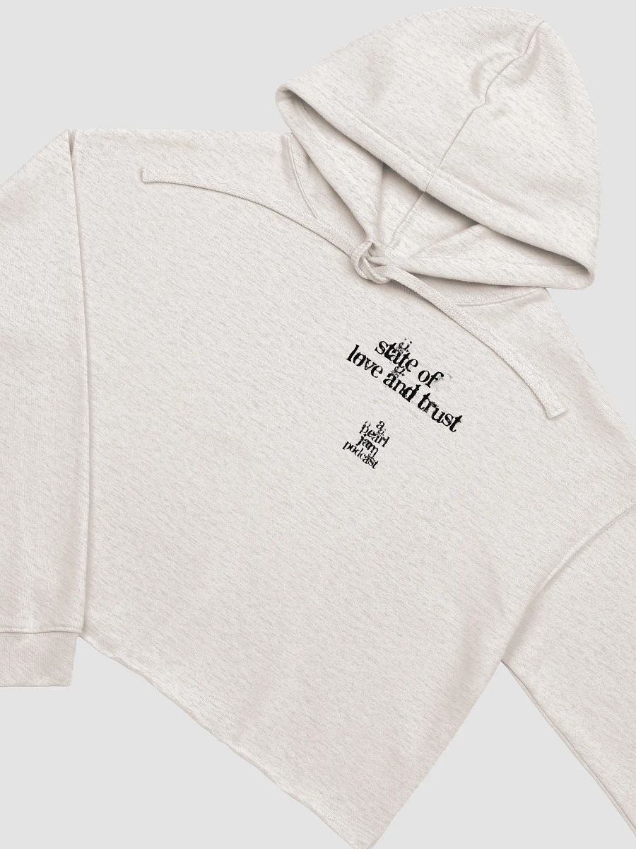 In The Year 2000 Crop Hoodie product image (3)