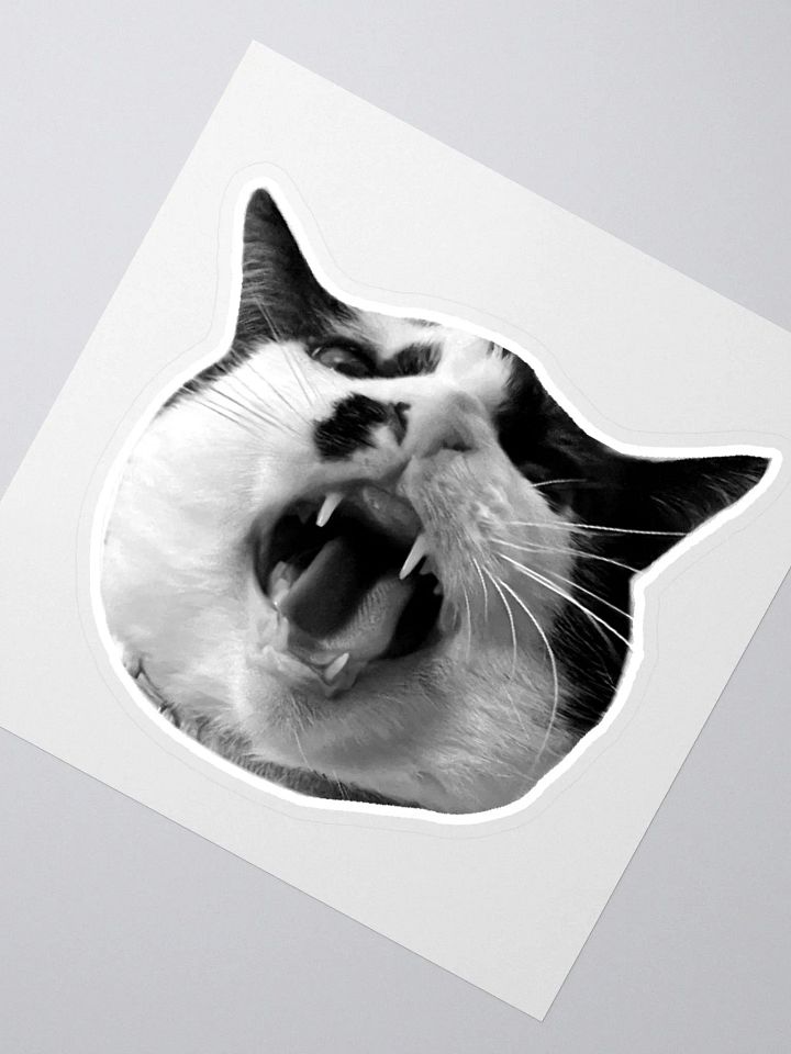 LOIN - Sticker product image (2)