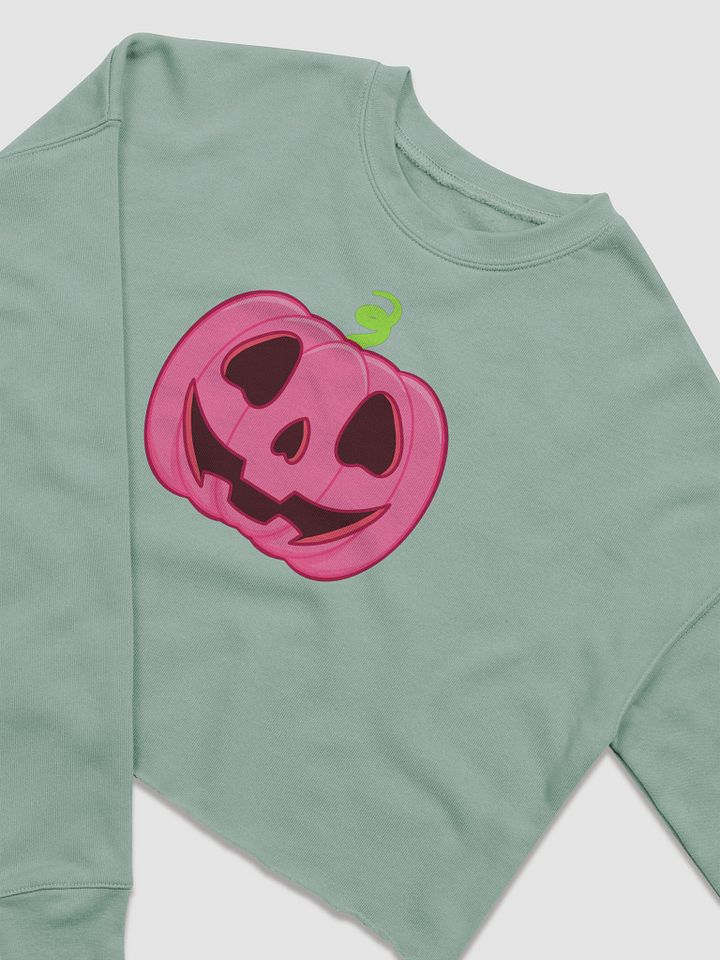 Pumpknnn crop sweatshirt product image (2)