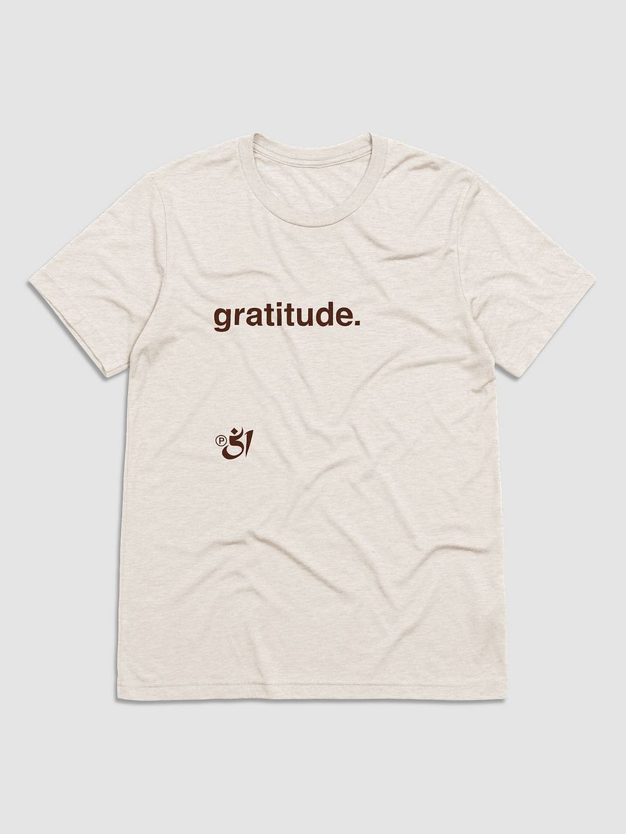 gratitude. tee product image (1)