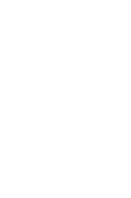 Peech. - Official Merch
