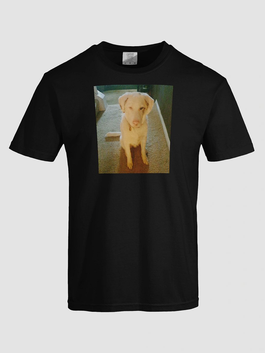 Ghost Dogg Album T-Shirt product image (5)