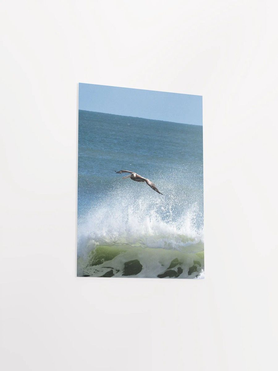Flying Pelican product image (38)