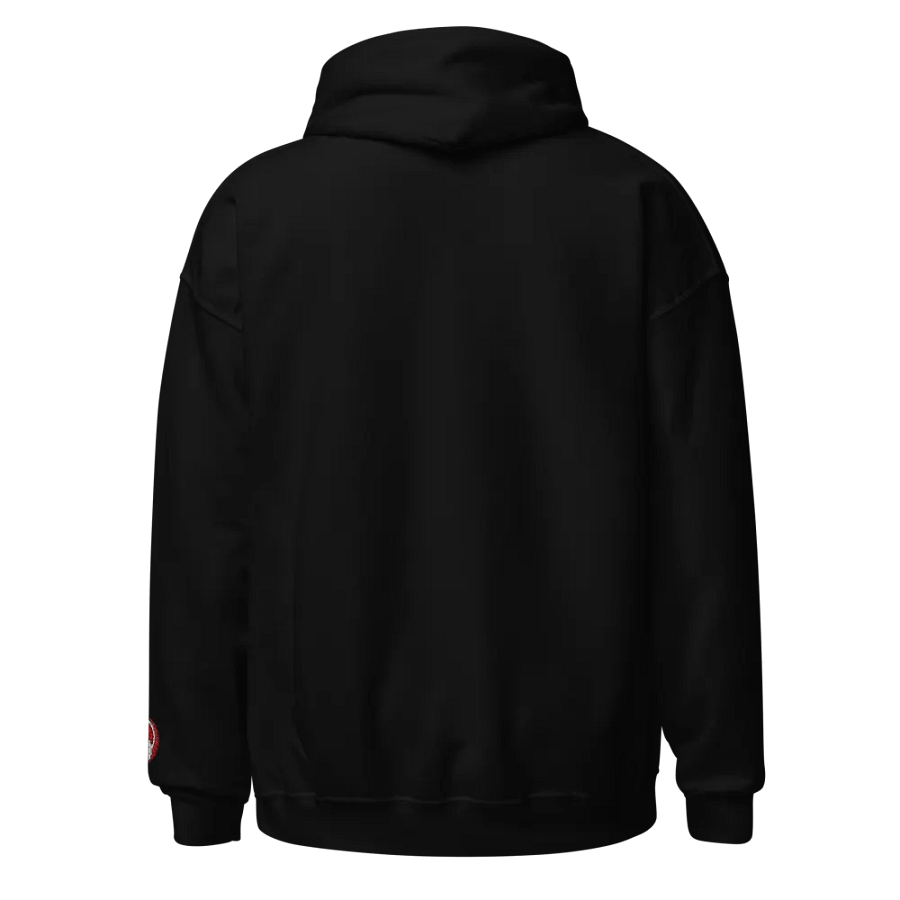Club Ready DJ School Centre Embroidered Gildan® Classic Hoodie product image (3)