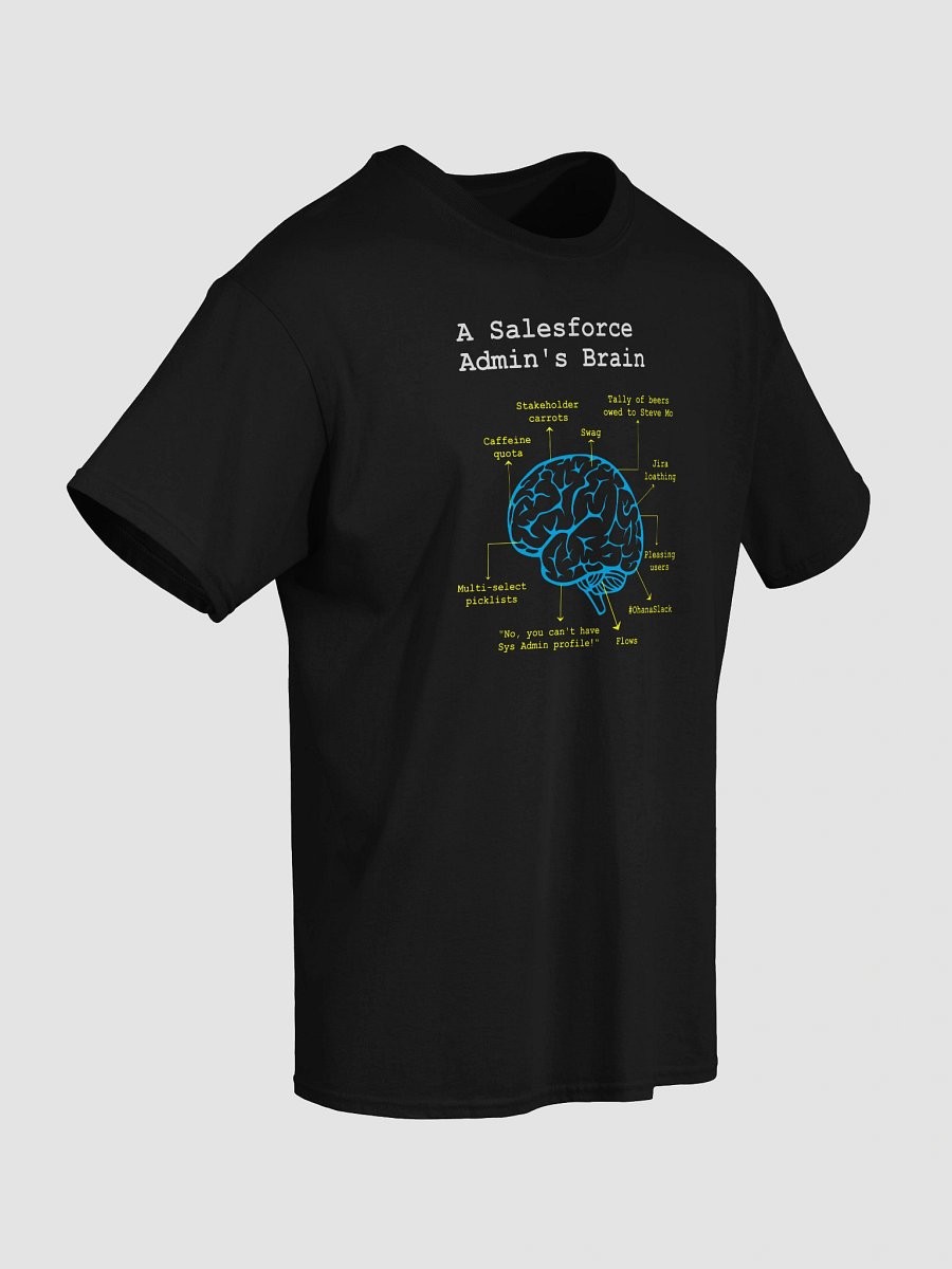 A Salesforce Admin’s Brain product image (39)