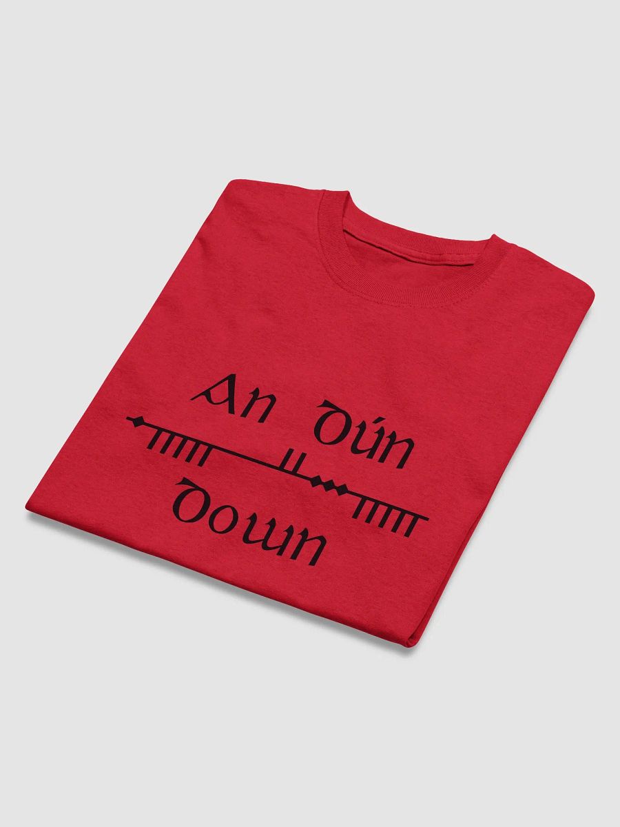 Down/An Dún Scholastic style Ogham Red Printed T-shirt product image (3)