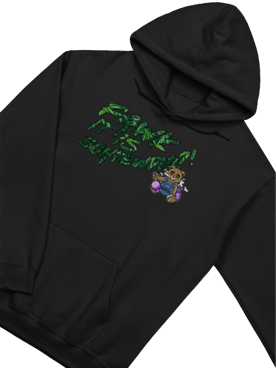Fawk it is Schtewpid X Bread the Bear Hoodie product image (3)
