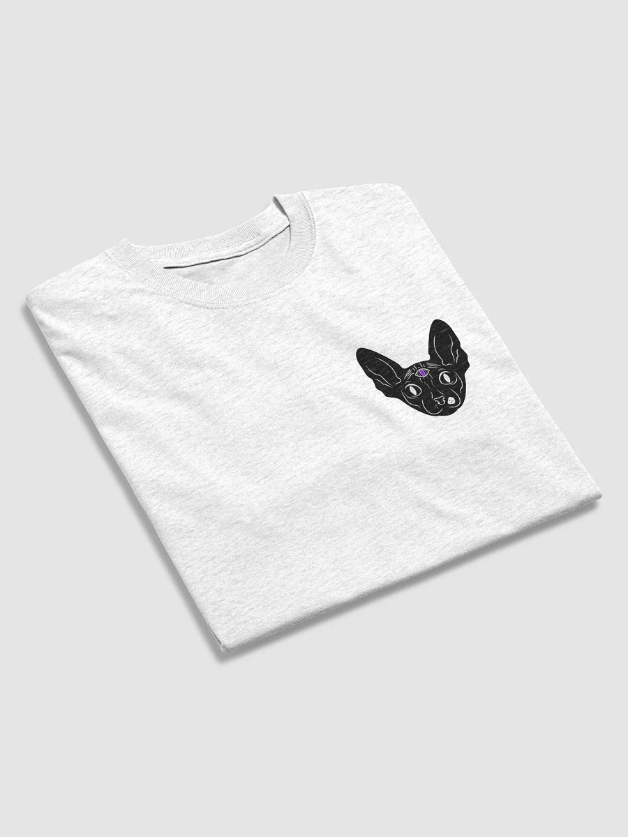 LUCIEN graphic T product image (18)