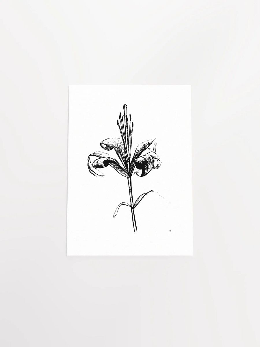 Lily Elegance Poster - Fine Flower Light product image (4)