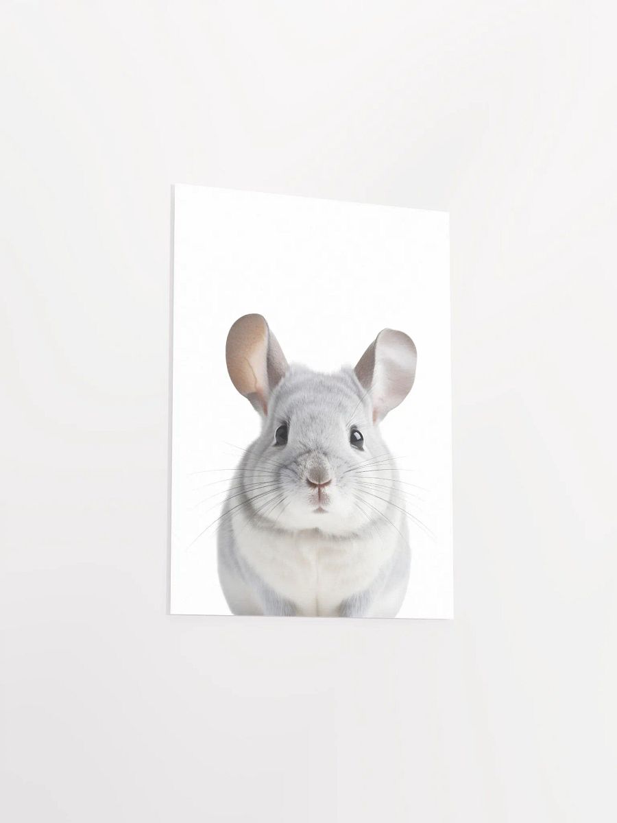 Cute Chinchilla Print product image (5)