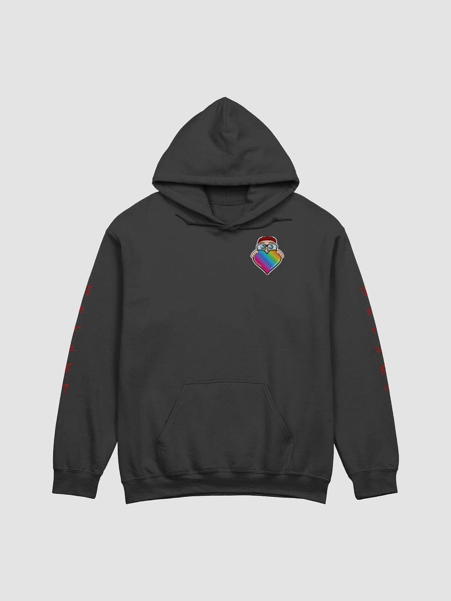 Jetz Pride Hoodie product image (2)