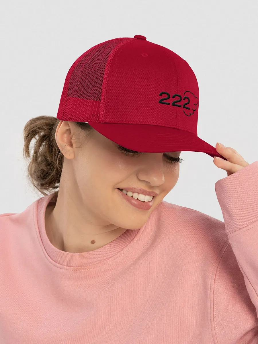 Aligned AF 222 Trucker Snapback product image (2)