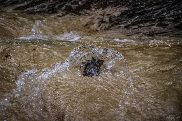 The Heart of the Stream – Nature’s Pulse product image (1)