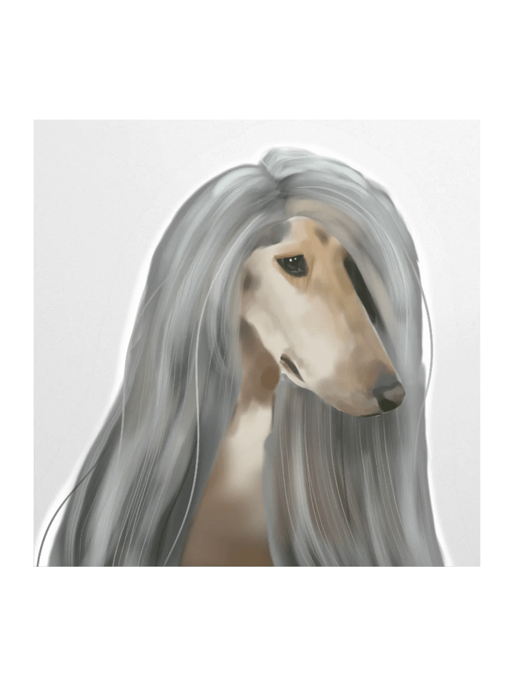 Afghan Hound product image (2)