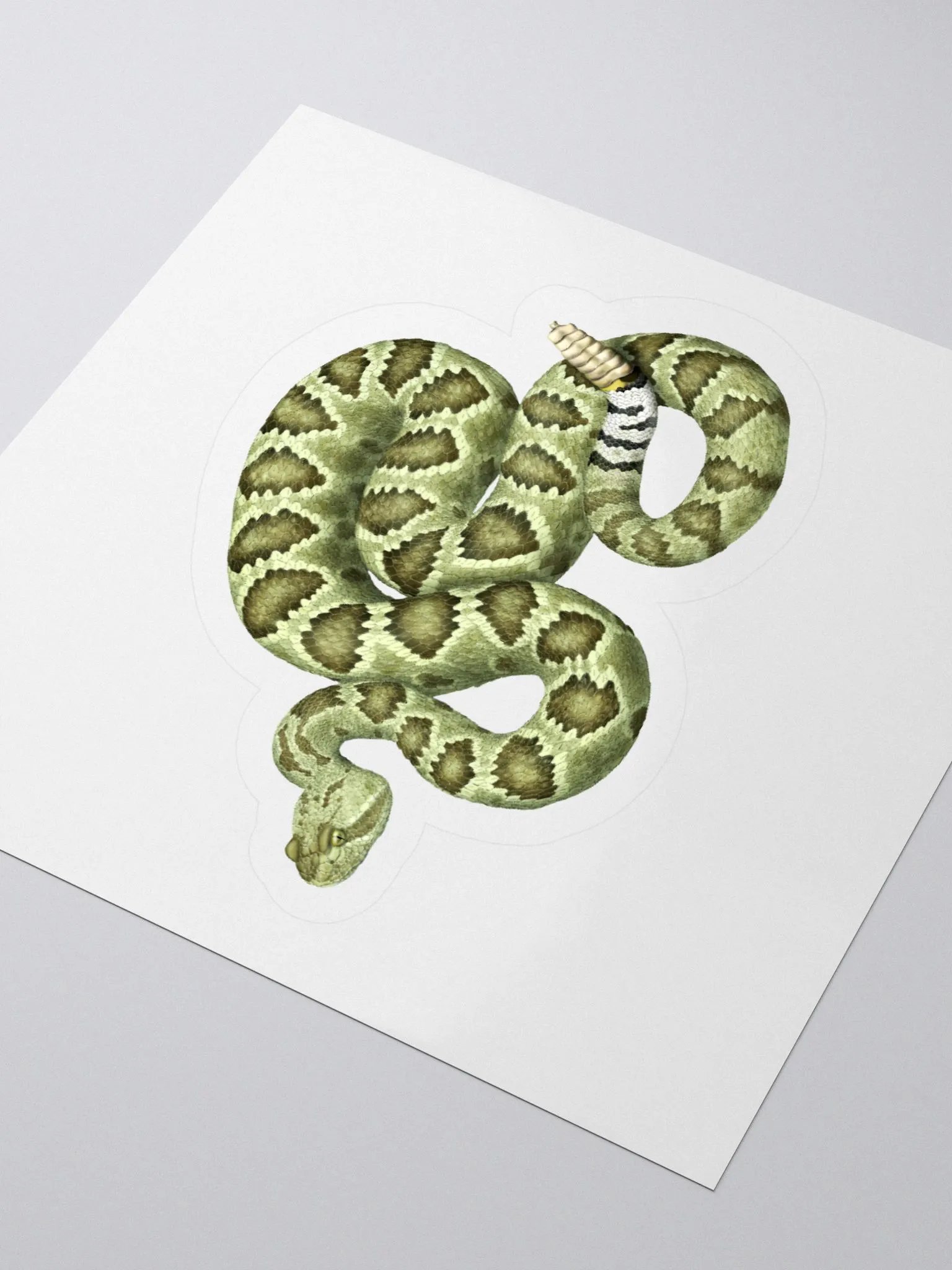 Die-Cut Sticker – Mojave Rattlesnake (Green) product image (3)