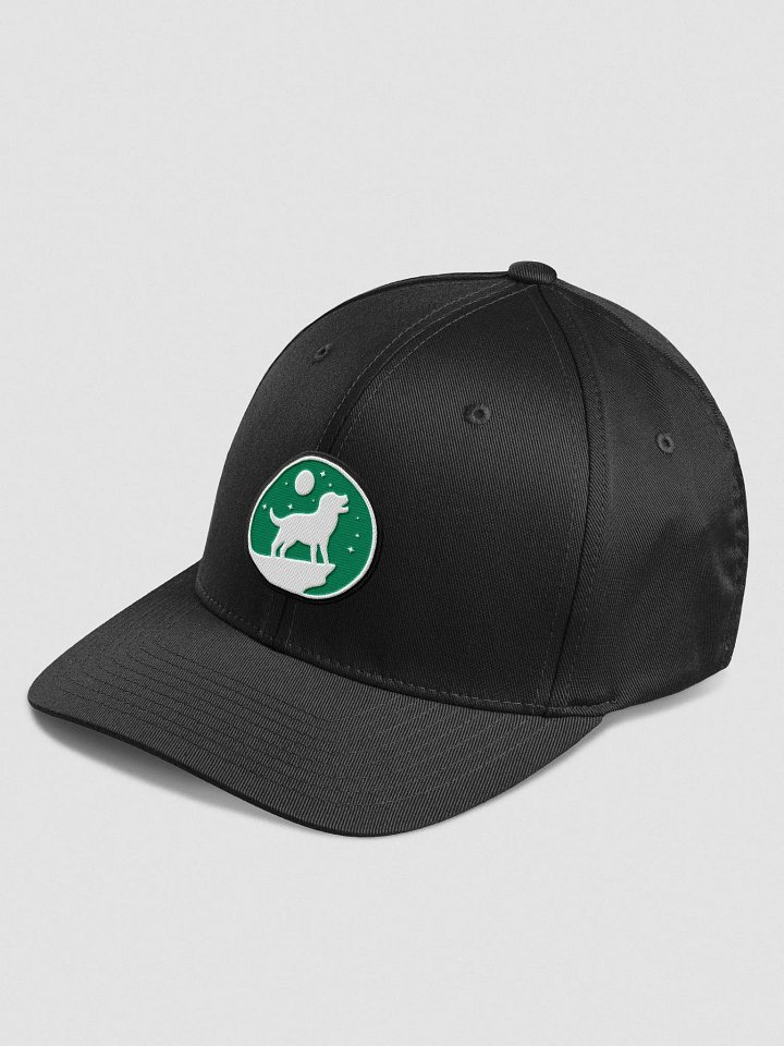 Fitted Cap - The Indecision Lab product image (2)
