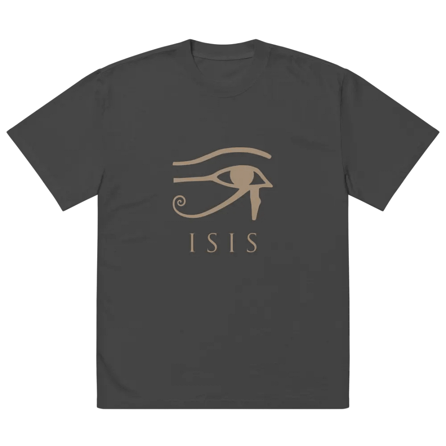 Isis Multicolor Oversized Tee Shirt product image (2)