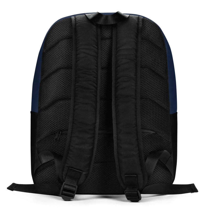 Raymond Lewis L.A. Legend Blue Backpack product image (10)