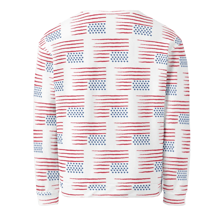 Resistors, What POTUS Now Means, Sweatshirt product image (2)