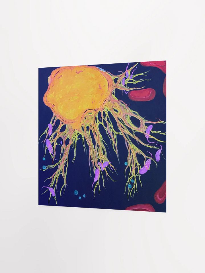 Neutrophil (Original Artwork) Print product image (2)