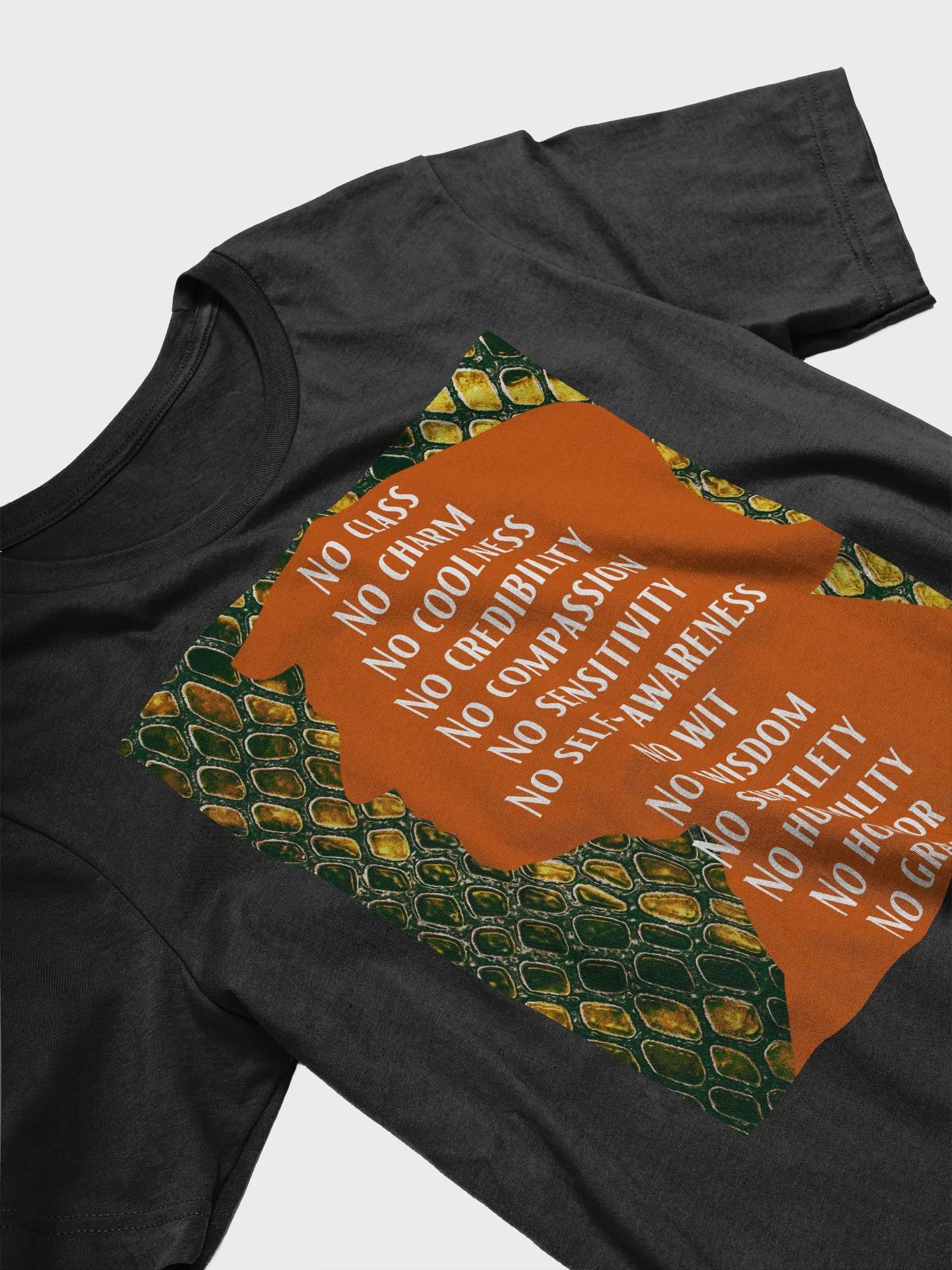 No Class, No Charm, No Wisdom Donald Trump Silouhette T-Shirt product image (3)