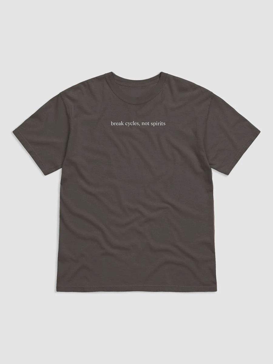 Break Cycles Not Spirits Tee product image (4)