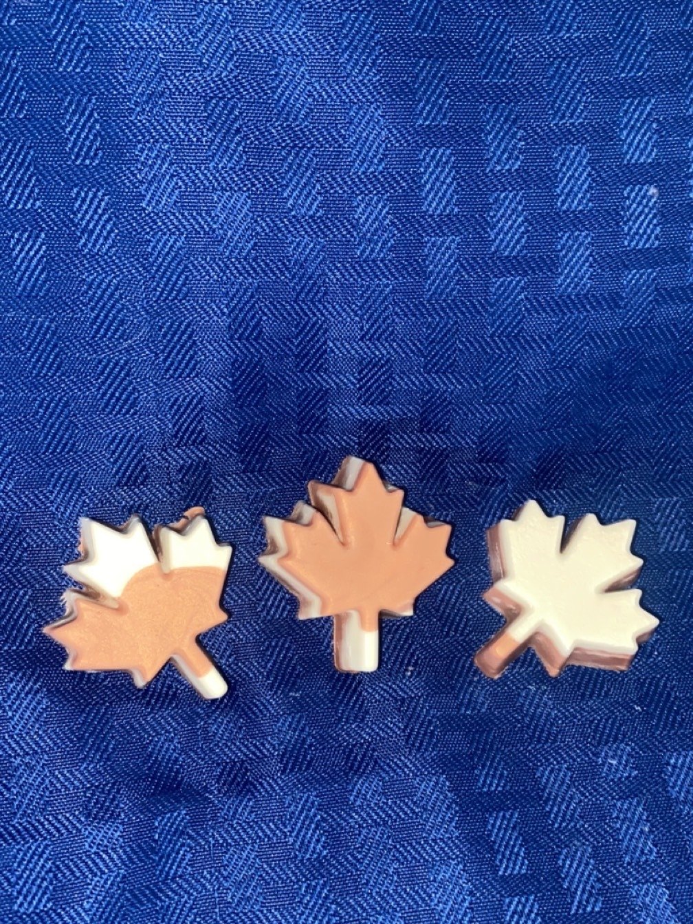 Cocoa and Cashmere Wax Melts 6 pack product image (1)